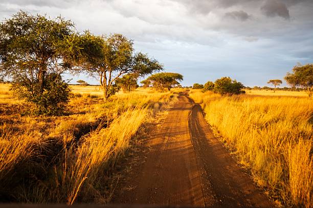   Road Conditions in Tanzania 2026–2027 
